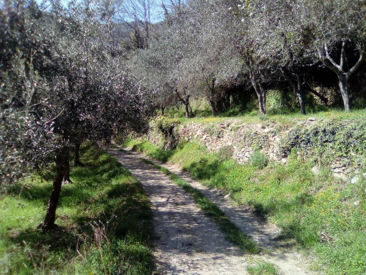 Contrada Casa Vacanze Διαμέρισμα Vado Ligure Εξωτερικό φωτογραφία